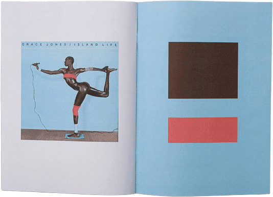 Grace Jones Identity, designed by Hugo Hoppmann, 2008 (image 13 of 14)